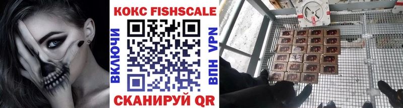 где найти   Ленинградская  КОКАИН FishScale 