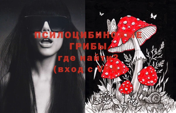 МДПВ Абдулино