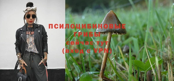 МДПВ Абдулино