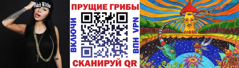 MEGA Ленинградская Галлюциногенные грибы Psilocybe