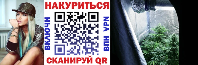 Канабис ГИДРОПОН  Ленинградская 